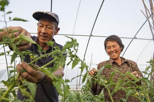 ʮ��������̬�������������ƶ�¸�