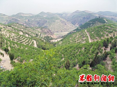 探寻米脂孟岔模式