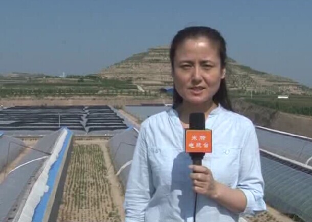 2014��7��24����֬����