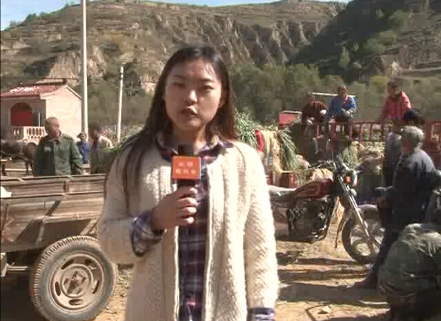 2014��10��20����֬����