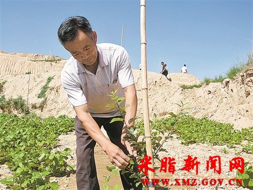 ʯ��������ƻ����ҵ����ͷ����