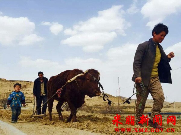 ��֬������ũæ����ʱ