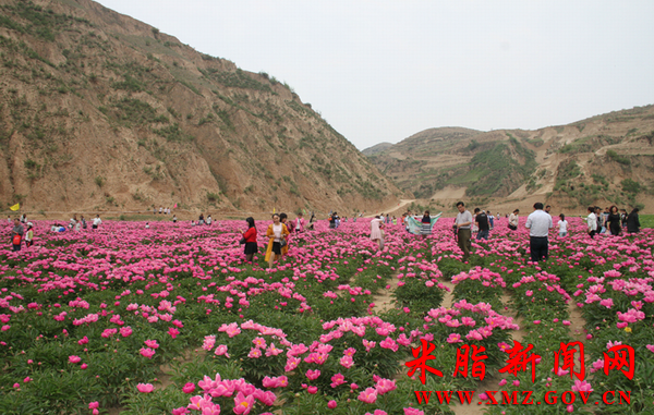 ��֬���������ҩ����������ǧ�ο�