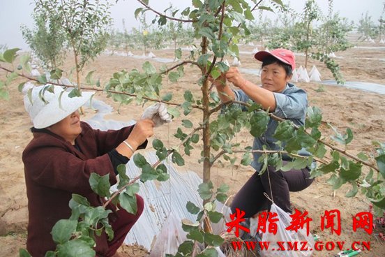 ��֬ɽ��ƻ���＾��ѧ������������ʱ��