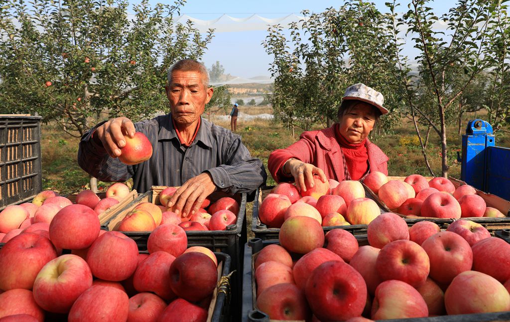 ϲ����ҵ����ƶ