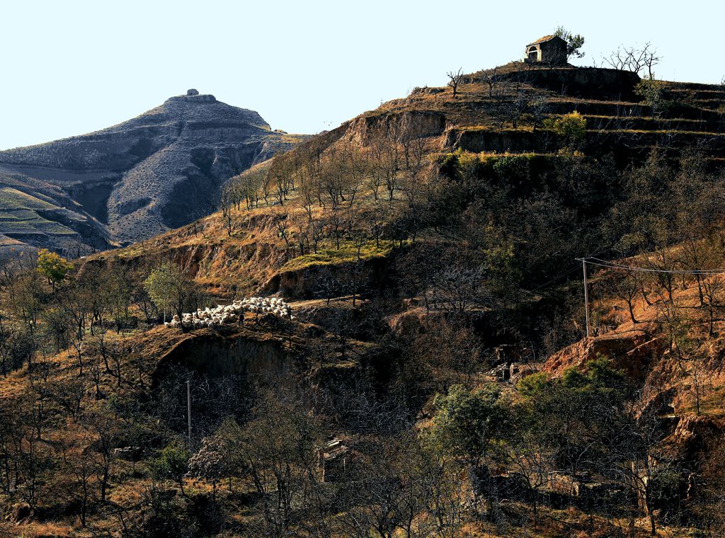 ������҉���