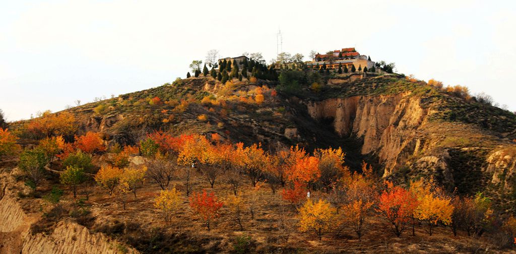 ��«������