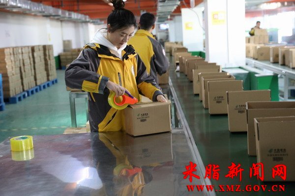 ��֬С�ס�˫ʮһ������������