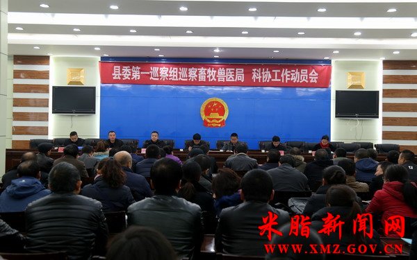 ��֬��ί��һѲ�����ٿ�Ѳ�������֡���Э������Ա��