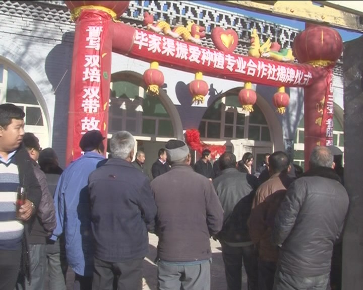 2017��12��7����Ƶ����