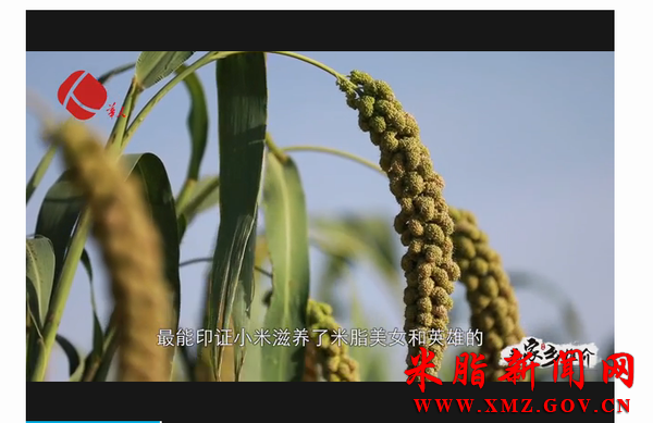 ��Ѱ�������е���֬���Ǿ����߽���֬